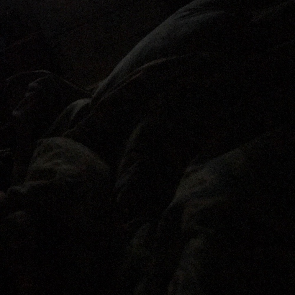 Meet your Posher, Molly